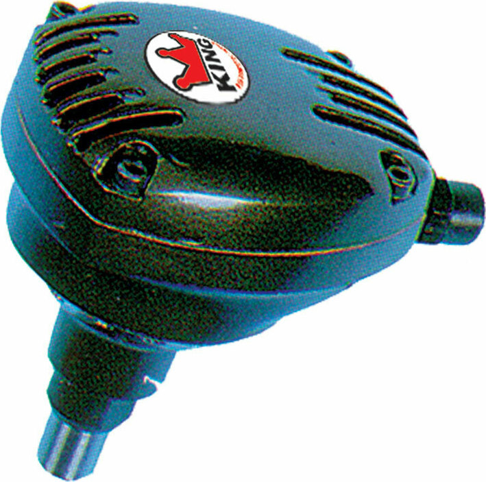 20210407113334_king_90133 king